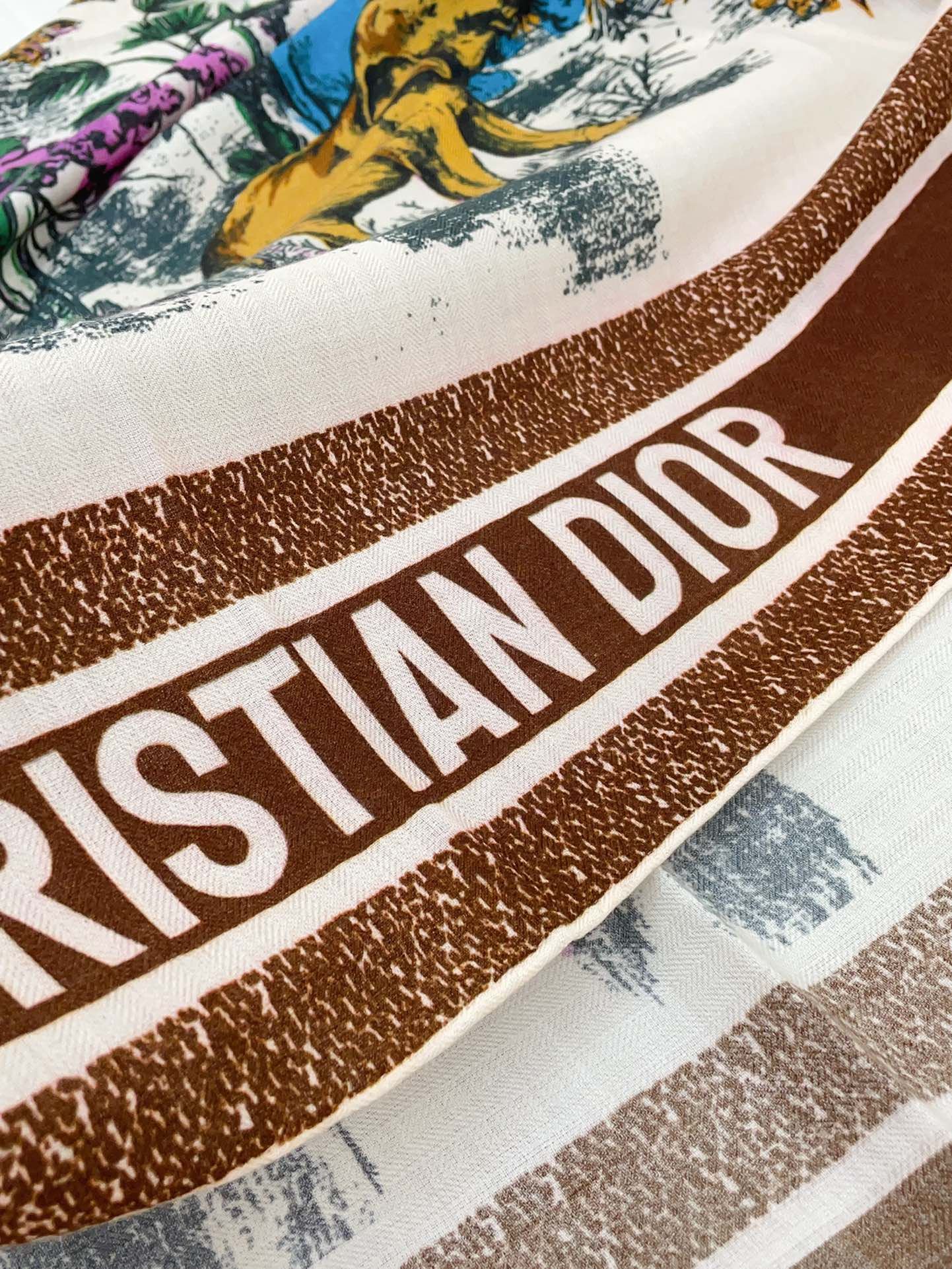 Christian Dior Scarf